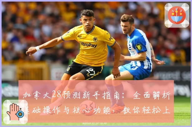 加拿大28预测新手指南：全面解析基础操作与核心功能，教你轻松上手预测技巧