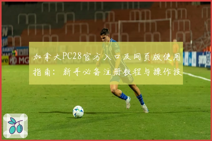 加拿大PC28官方入口及网页版使用指南：新手必备注册教程与操作技巧分享