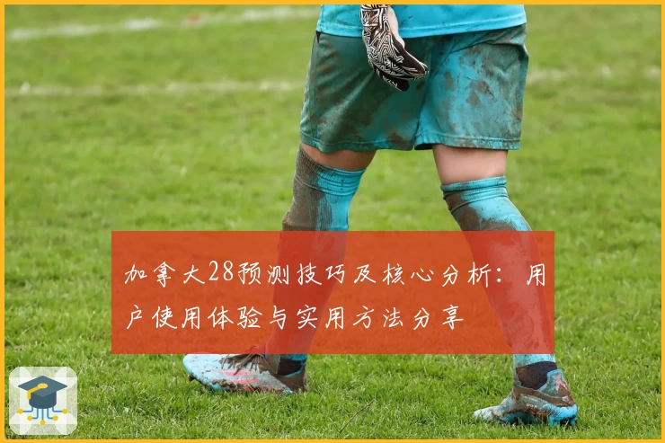 加拿大28预测技巧及核心分析：用户使用体验与实用方法分享