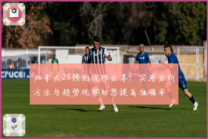 加拿大28预测技巧分享：实用分析方法与趋势观察助您提高准确率