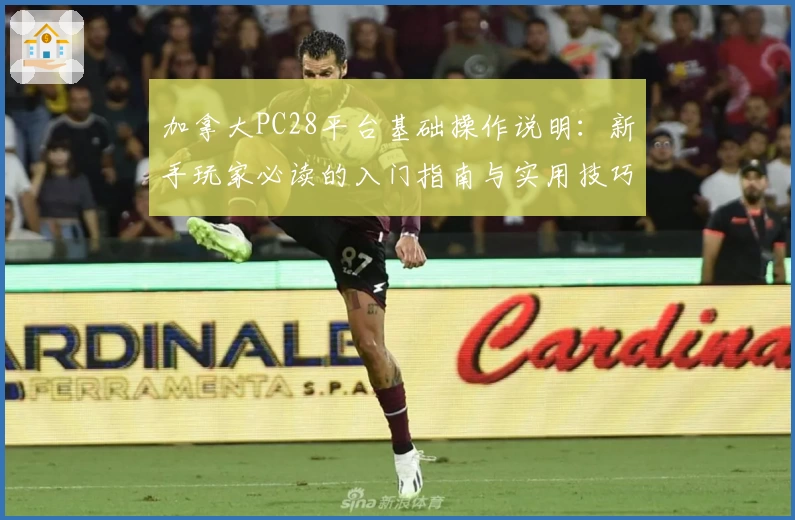 加拿大PC28平台基础操作说明：新手玩家必读的入门指南与实用技巧分享