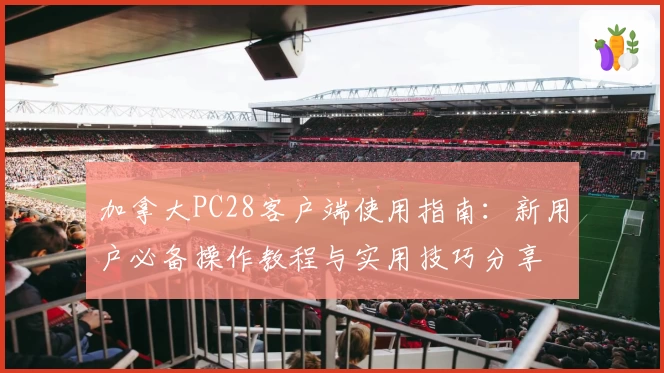 加拿大PC28客户端使用指南:新用户必备操作教程与实用技巧分享