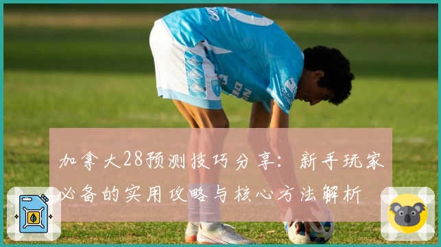 加拿大28预测技巧分享：新手玩家必备的实用攻略与核心方法解析