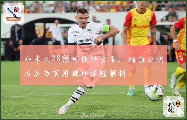 加拿大28预测技巧分享：精准分析方法与实用操作体验解析