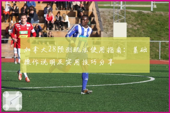 加拿大28预测玩法使用指南：基础操作说明及实用技巧分享