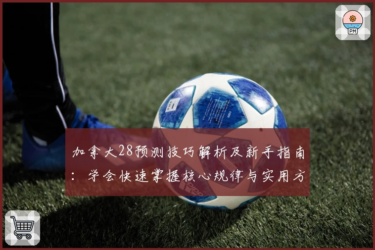 加拿大28预测技巧解析及新手指南：学会快速掌握核心规律与实用方法