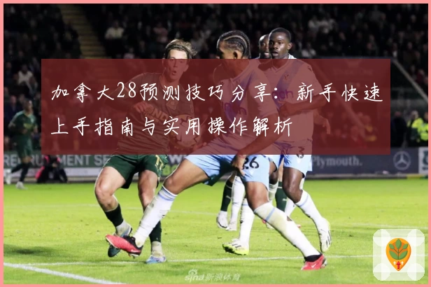 加拿大28预测技巧分享：新手快速上手指南与实用操作解析